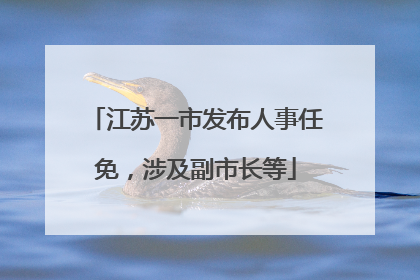 江苏一市发布人事任免，涉及副市长等